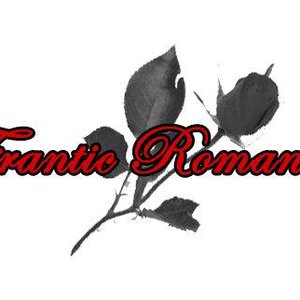 Image for 'Frantic Romantic'