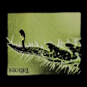 NORTICANTA 的头像