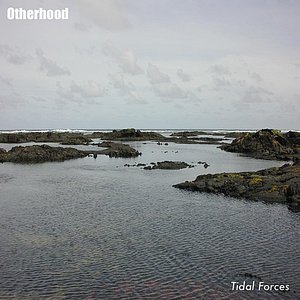 Tidal Forces