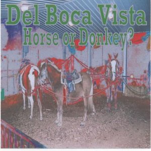 Image for 'horse or donkey'