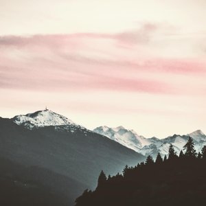 Pines and Galaxies
