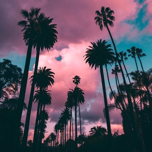 Vacation Apocalypse