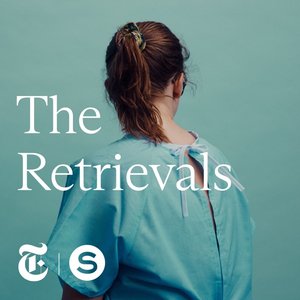 The Retrievals 的头像