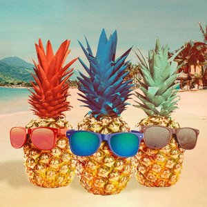 Avatar für The Pineapple Squad