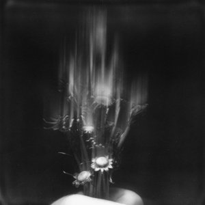 metamorphosis