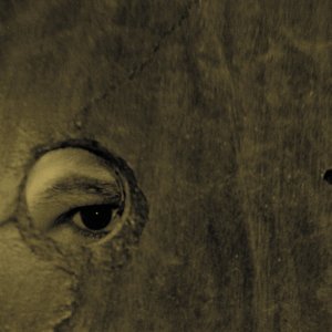 Circle cover