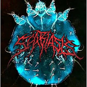 Scabiasis 的头像