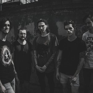 Аватар для Bird Bone