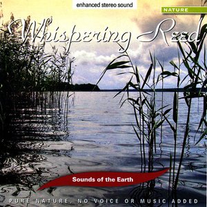 Whispering Reed