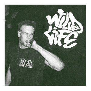 Wild Life 的头像