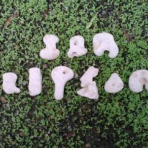 Ian Lipson 的头像