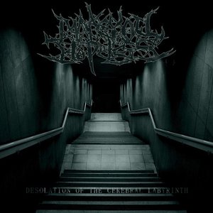Desolation Of The Cerebral Labyrinth