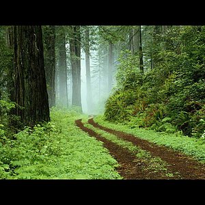 The Way