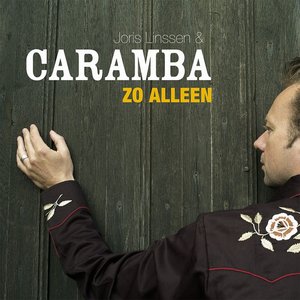 Zo alleen