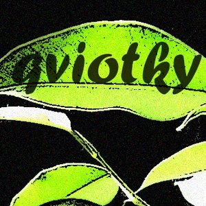Qviotky 的头像