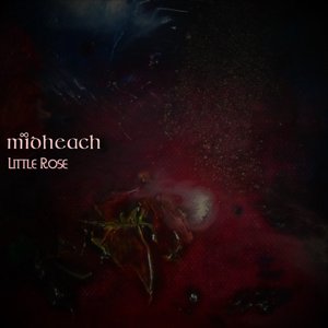 Little Rose - Single