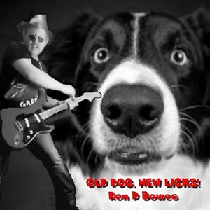 Old Dog, New Licks