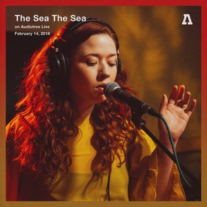 The Sea The Sea on Audiotree Live