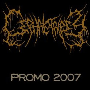 Promo 2007