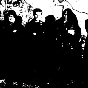 Avatar for Mikki Finn