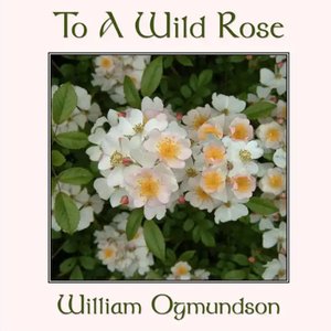 To a Wild Rose