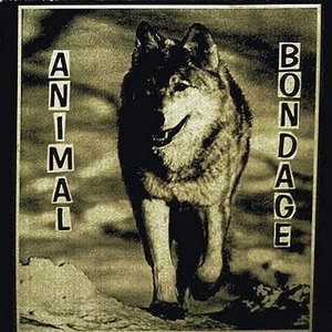 Avatar de Animal Bondage