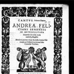 Andrea Feliciani 的头像