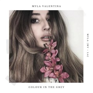 Colour in the Grey