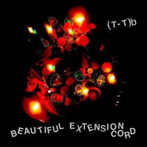 Beautiful Extension Cord