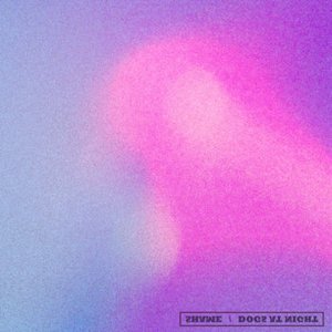 Shame/Dogs at Night - Single