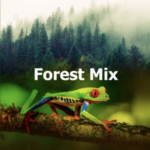 Forest Mix