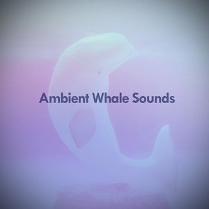 Ambient Whale Sounds