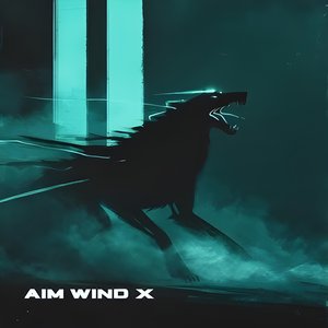AIM WIND X 的头像