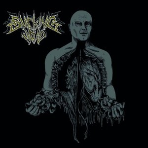VEGETATIVE STATE OF CHAOS