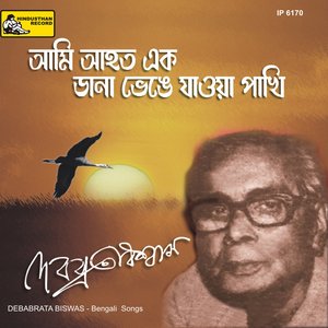 Aami Aahata Ek Dana Bhengey Jaoya Pakhi