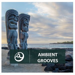 Ambient Grooves