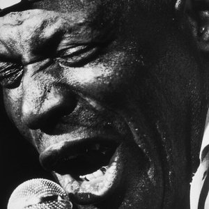 'Howlin’ Wolf' için resim