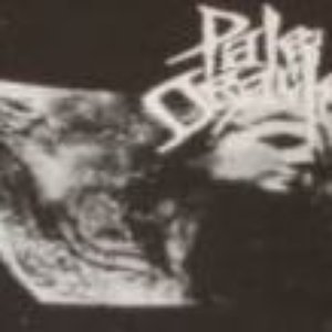 Pale Oracle 的头像
