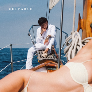 Artwork for Culpable
