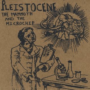 The Mammoth and the Microchip