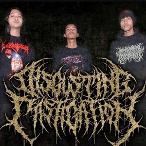 Avatar de Disgusting Castigation