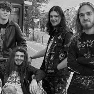 Significance 的头像