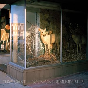 You Won't Remember This