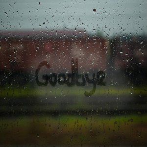 Goodbye