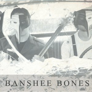 “Banshee Bones”的封面