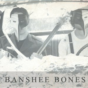 Immagine per 'Banshee Bones'