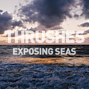 Exposing Seas