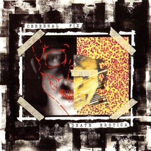 Death Erotica cover