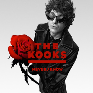 Artwork for If They Could Only Know