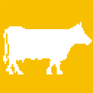 Baby Ford & The Ifach Collective photo provided by Last.fm